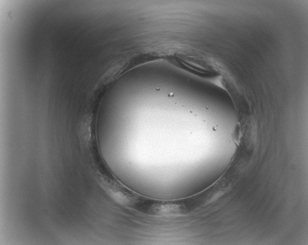 X0000068850501200605121413