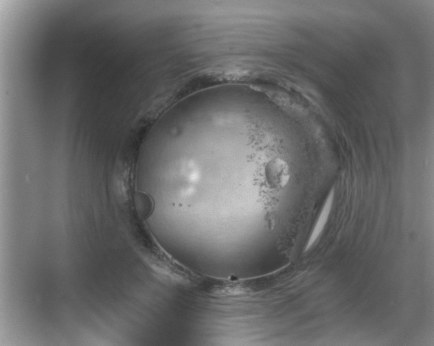 X0000068850503200605121413