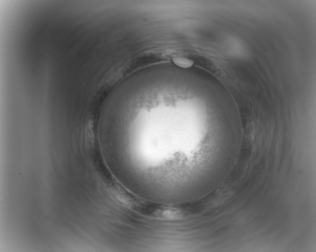 X0000068850506200605121413