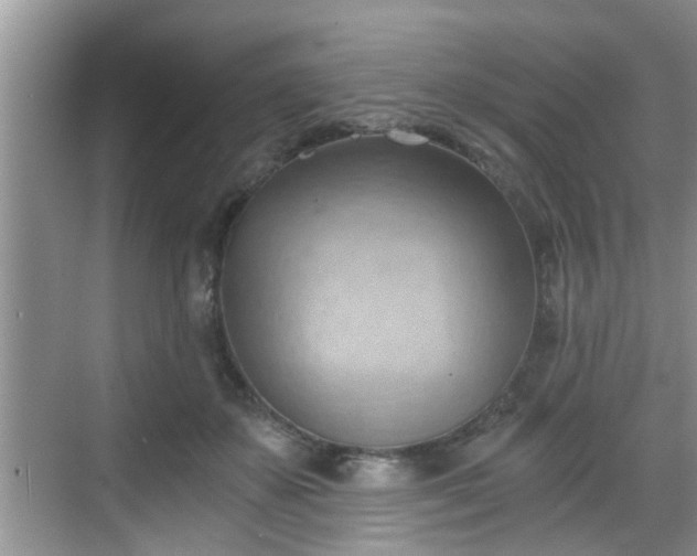 X0000068850507200605121413