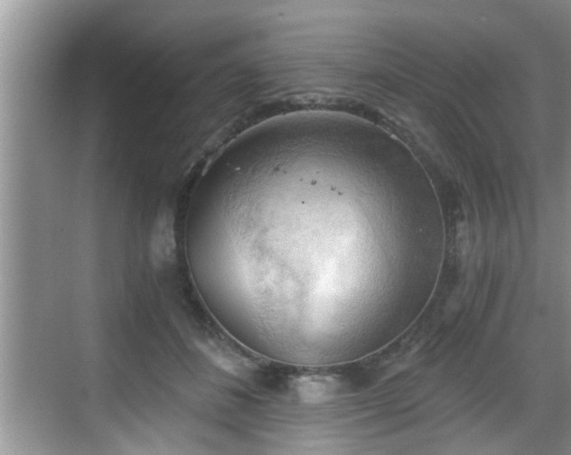 X0000068850508200605121413