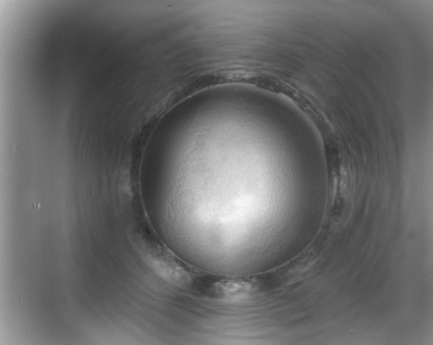 X0000068850512200605121413