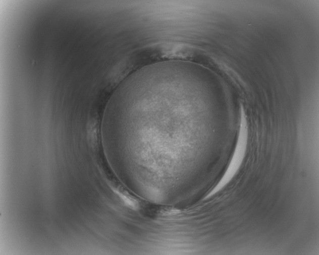 X0000068850513200605121413