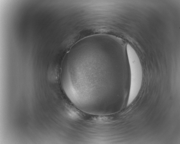 X0000068850517200605121412