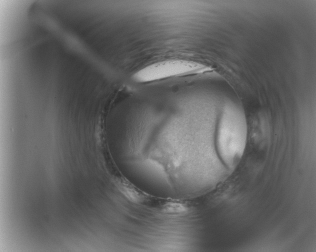 X0000068850519200605121412