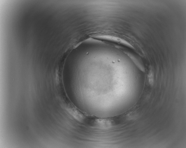 X0000068850520200605121412