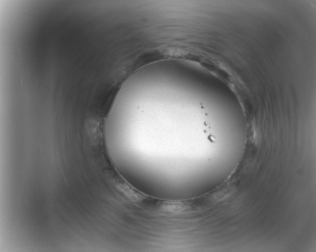 X0000068850521200605121412