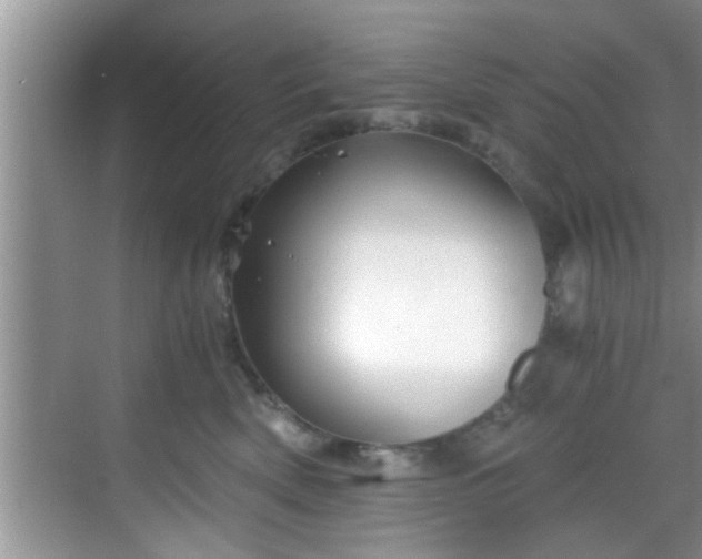 X0000068850522200605121412