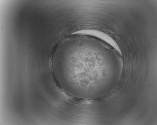 X0000068850523200605121412