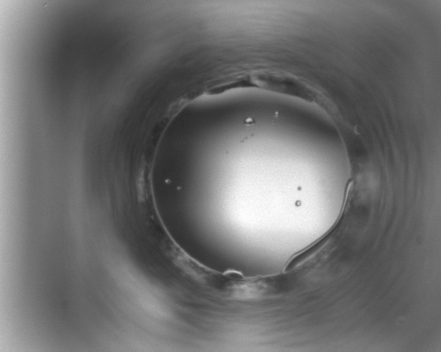 X0000068850525200605121412