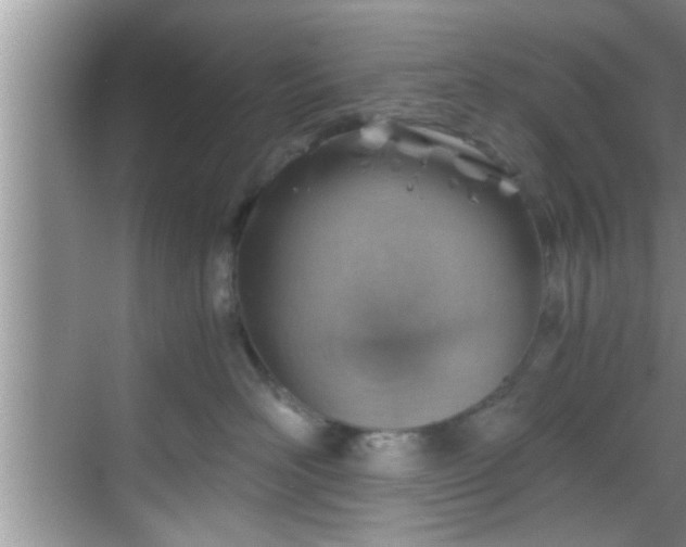 X0000068850526200605121412