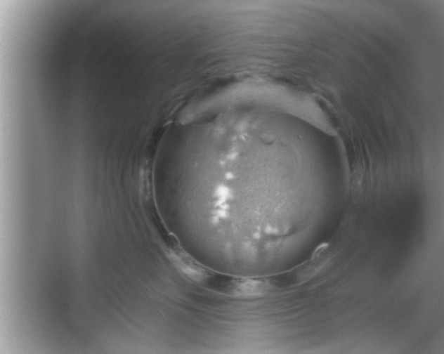 X0000068850527200605121412