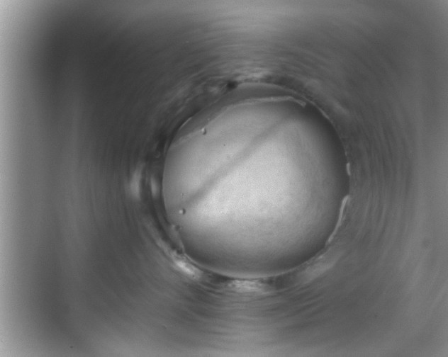 X0000068850528200605121412