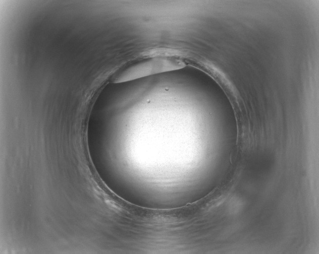 X0000068850529200605121411