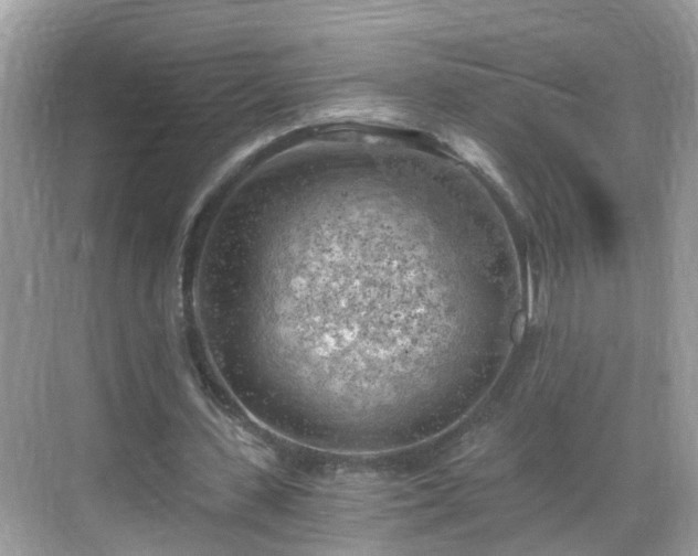 X0000068850531200605121412