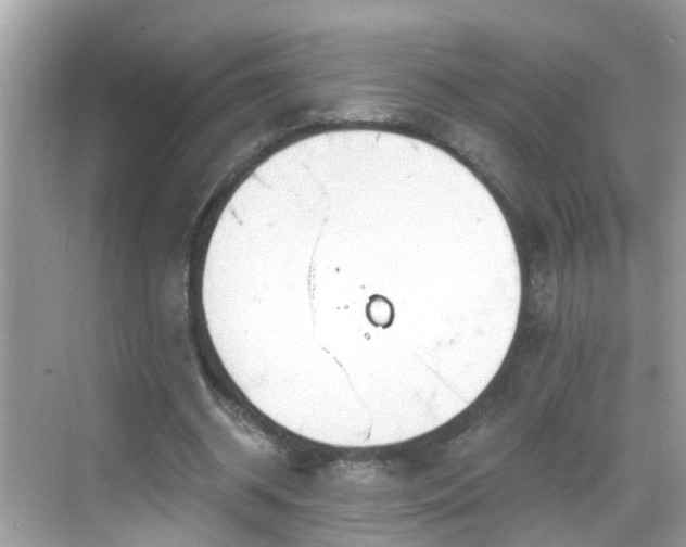 X0000068850534200605121412