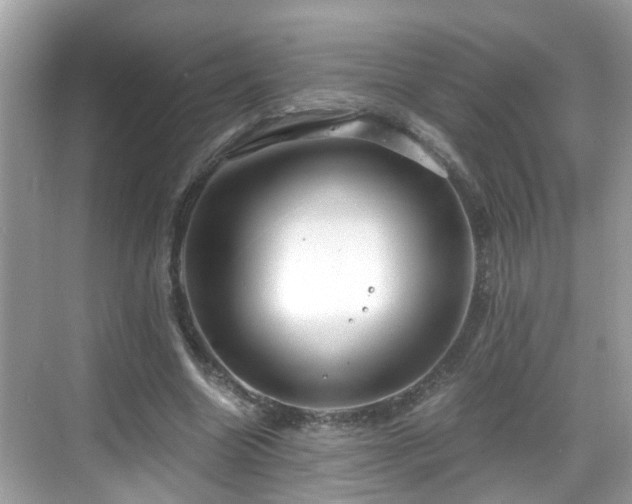 X0000068850538200605121412