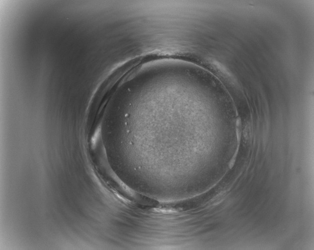 X0000068850540200605121412