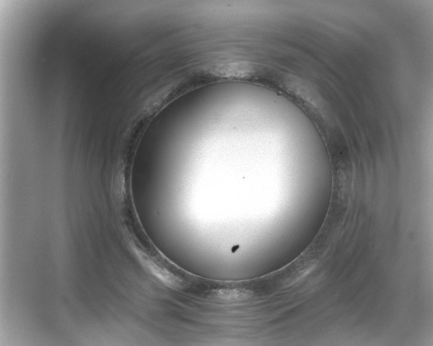 X0000068850541200605121412