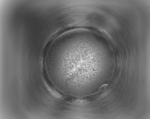 X0000068850542200605121412