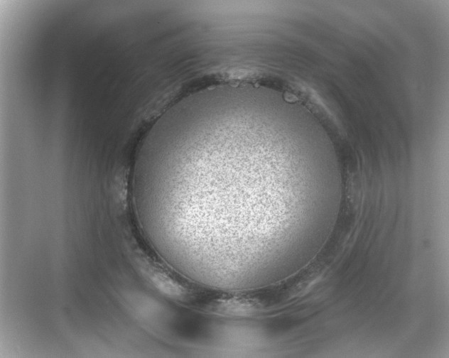 X0000068850545200605121412