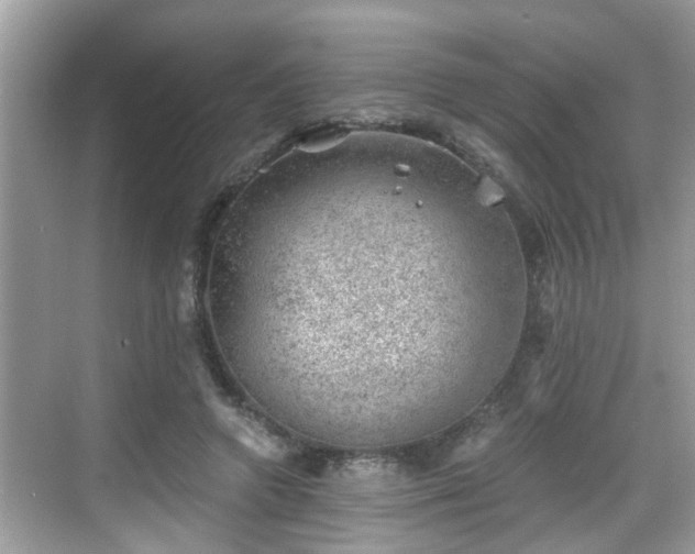 X0000068850546200605121412