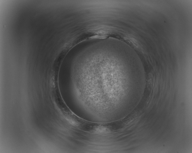 X0000068850547200605121412