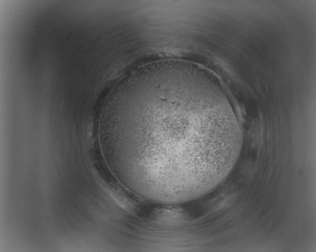 X0000068850548200605121412