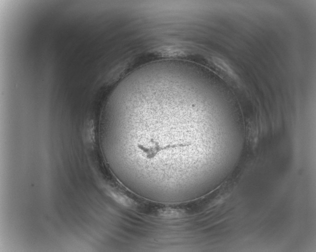 X0000068850549200605121412