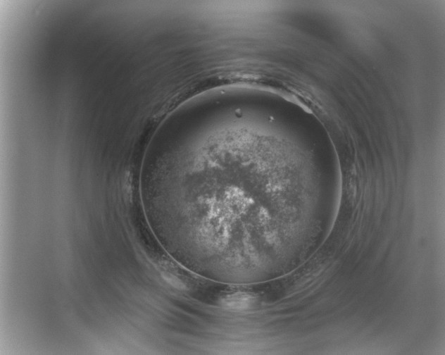 X0000068850551200605121412