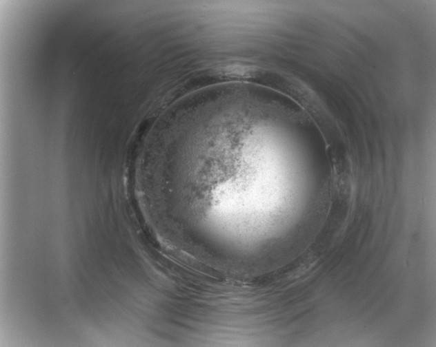 X0000068850552200605121412