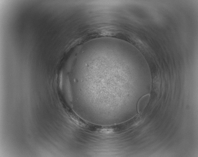 X0000068850554200605121412