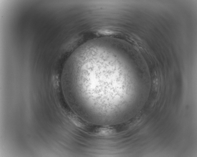 X0000068850555200605121412