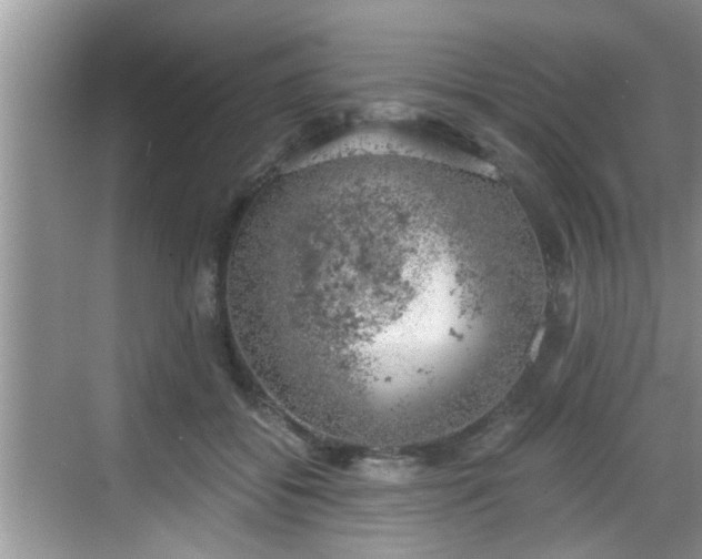 X0000068850556200605121412