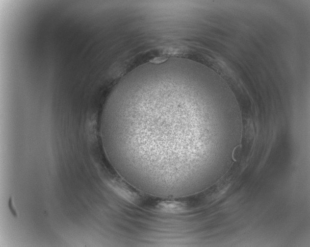 X0000068850557200605121412