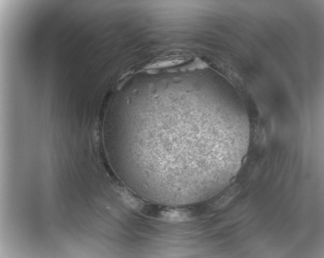 X0000068850561200605121412