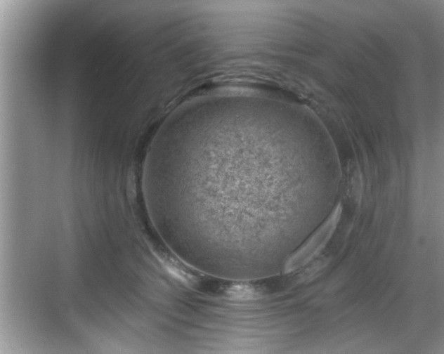 X0000068850562200605121412