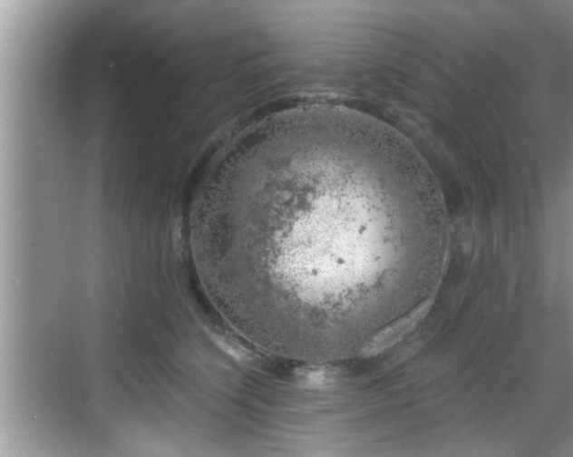 X0000068850564200605121412