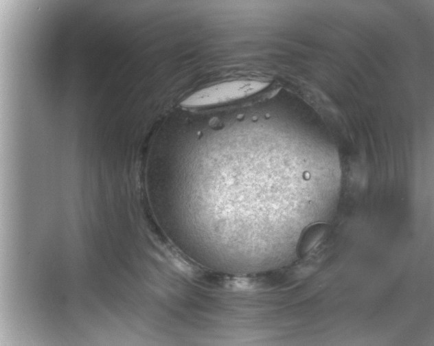 X0000068850565200605121412