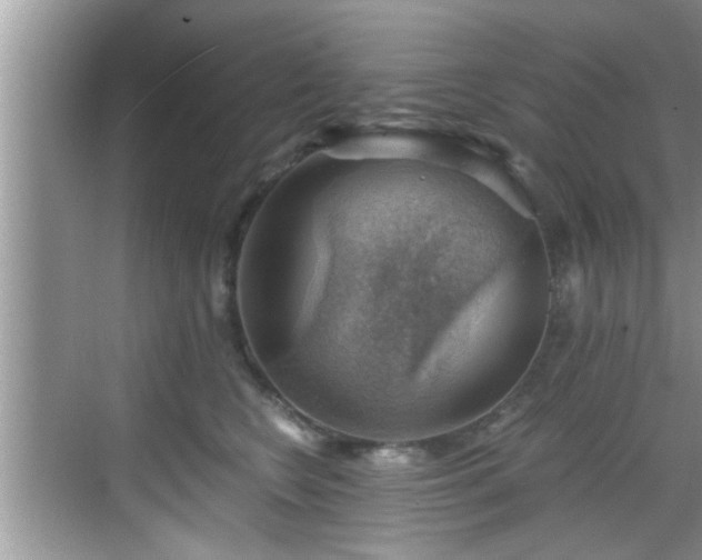 X0000068850566200605121412