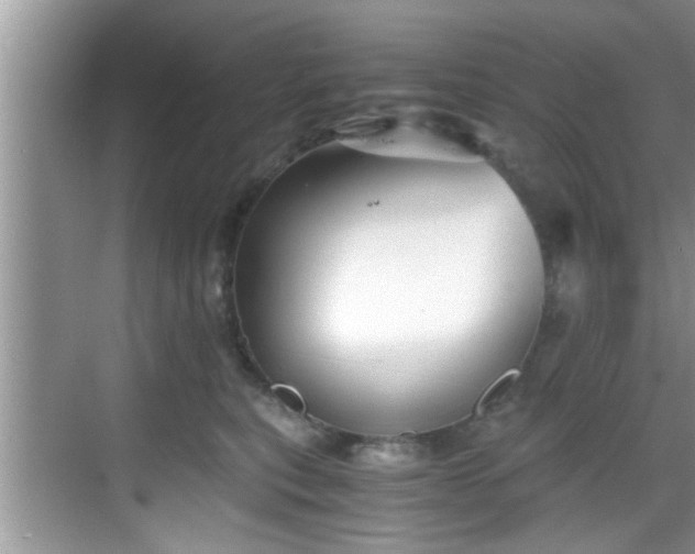 X0000068850567200605121412