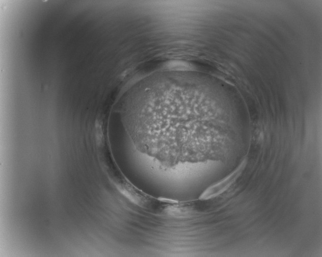 X0000068850568200605121412