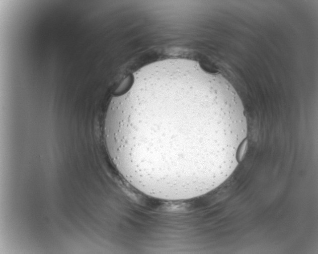 X0000068850569200605121412