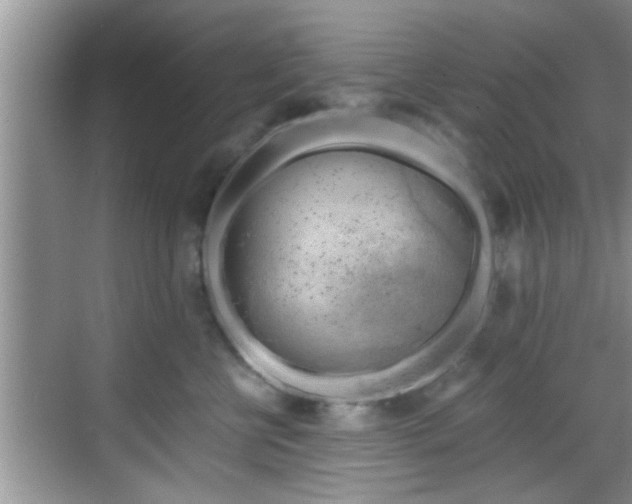 X0000068850570200605121412