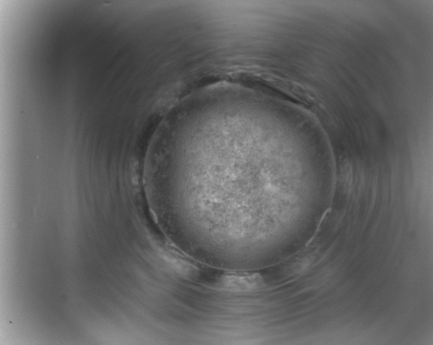 X0000068850571200605121412