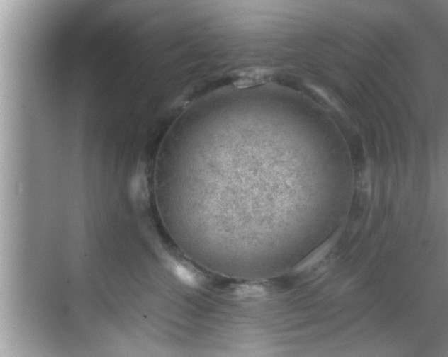 X0000068850572200605121412