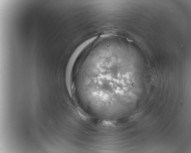 X0000068850573200605121412