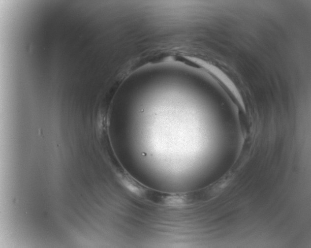 X0000068850574200605121412