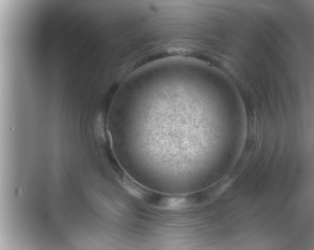 X0000068850575200605121412