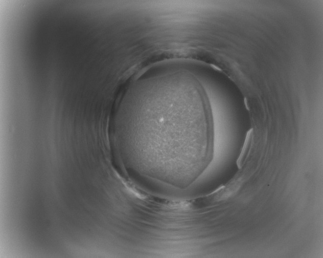 X0000068850576200605121412